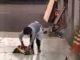Urnebesno: Skrivenu kameru poput ove niste vidjeli do sada (VIDEO)