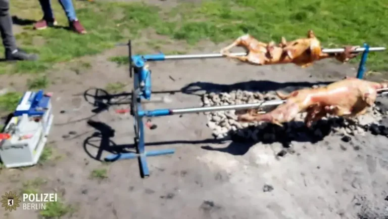 Dan kada su ‘Balkanci’ šokirali Njemačku: ‘Fešta usred parka, 150 ljudi ispeklo je 12 janjaca’