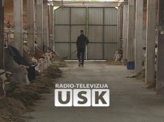 Od povratka u Bužim do uspješne farme: Mevlid Alešević kao primjer novog života u BiH