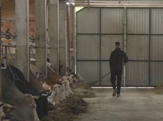 Od povratka u Bužim do uspješne farme: Mevlid Alešević kao primjer novog života u BiH
