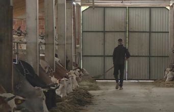 Od povratka u Bužim do uspješne farme: Mevlid Alešević kao primjer novog života u BiH