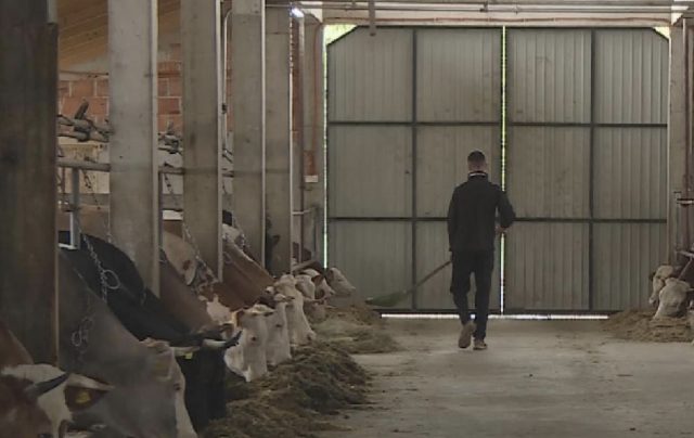 Screenshot 2025-10-27 at 17.52.53