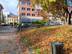 Nastavak redovnih aktivnosti održavanja javnih površina i zelenila u Bihaću