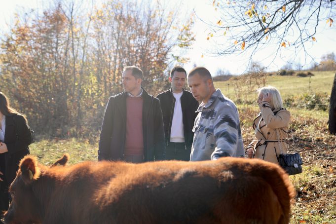 690a09e7de0c05.65620671