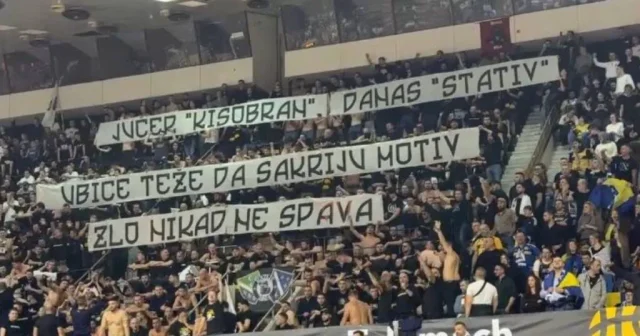 transparent-vucic-1-1024x538