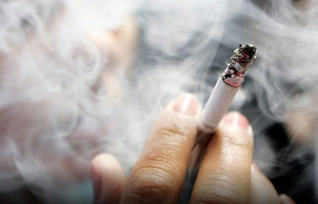 Clipboard_02-11-2026_05