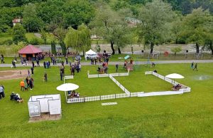Oko 90 lovačkih pasa predstavljeno u Ključu na specijalizovanoj izložbi sa kandidaturom CAC
