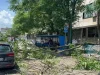 VIDEO: Drvo palo na taksistu na autobuskoj stanici u Sarajevu