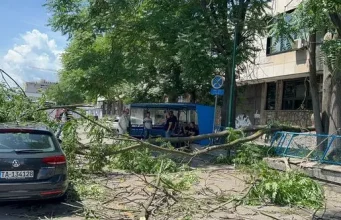 VIDEO: Drvo palo na taksistu na autobuskoj stanici u Sarajevu