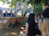 Predstavljen program 52. Internacionalne turističke Una regate: Vlada USK osigurala 60.000 KM podrške