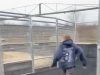 Dječak je mislio da će stići do izlaza, ali ga je u posljednjem trenutku sustigla prepreka (VIDEO)