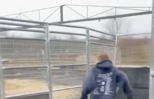Dječak je mislio da će stići do izlaza, ali ga je u posljednjem trenutku sustigla prepreka (VIDEO)
