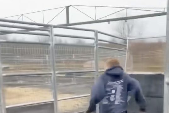 Dječak je mislio da će stići do izlaza, ali ga je u posljednjem trenutku sustigla prepreka (VIDEO)