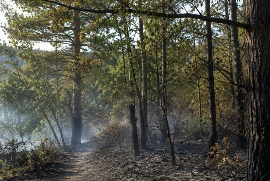 MUP USK istražuje sumnju na podmetanje požara na Zavalju: Pregledavaju se snimci nadzornih kamera