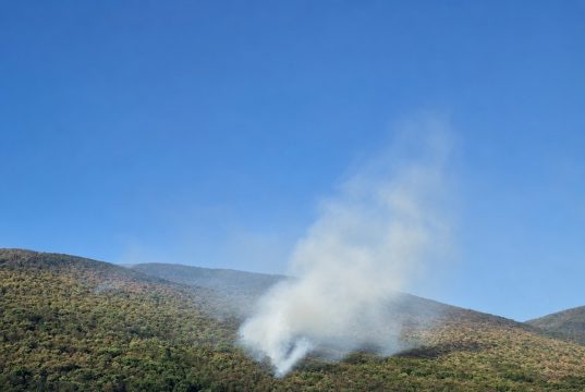 Požar na Plješevici ponovo aktiviran zbog vjetra, zatražen angažman helikoptera