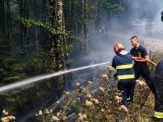 Požar na Plješevici pod kontrolom, sutra se očekuje potpuno gašenje