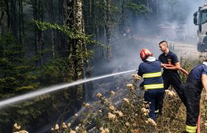 Požar na Plješevici pod kontrolom, sutra se očekuje potpuno gašenje