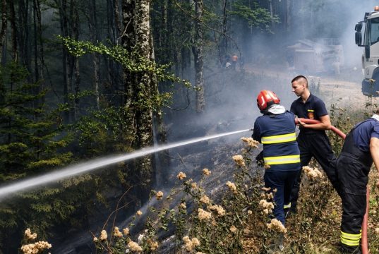 Požar na Plješevici pod kontrolom, sutra se očekuje potpuno gašenje