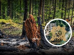 Hotel Kostelski Buk osigurao 45 obroka za učesnike u gašenju požara